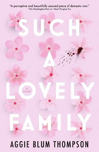 Aggie Blum Thompson Such a Lovely Family (Paperback)