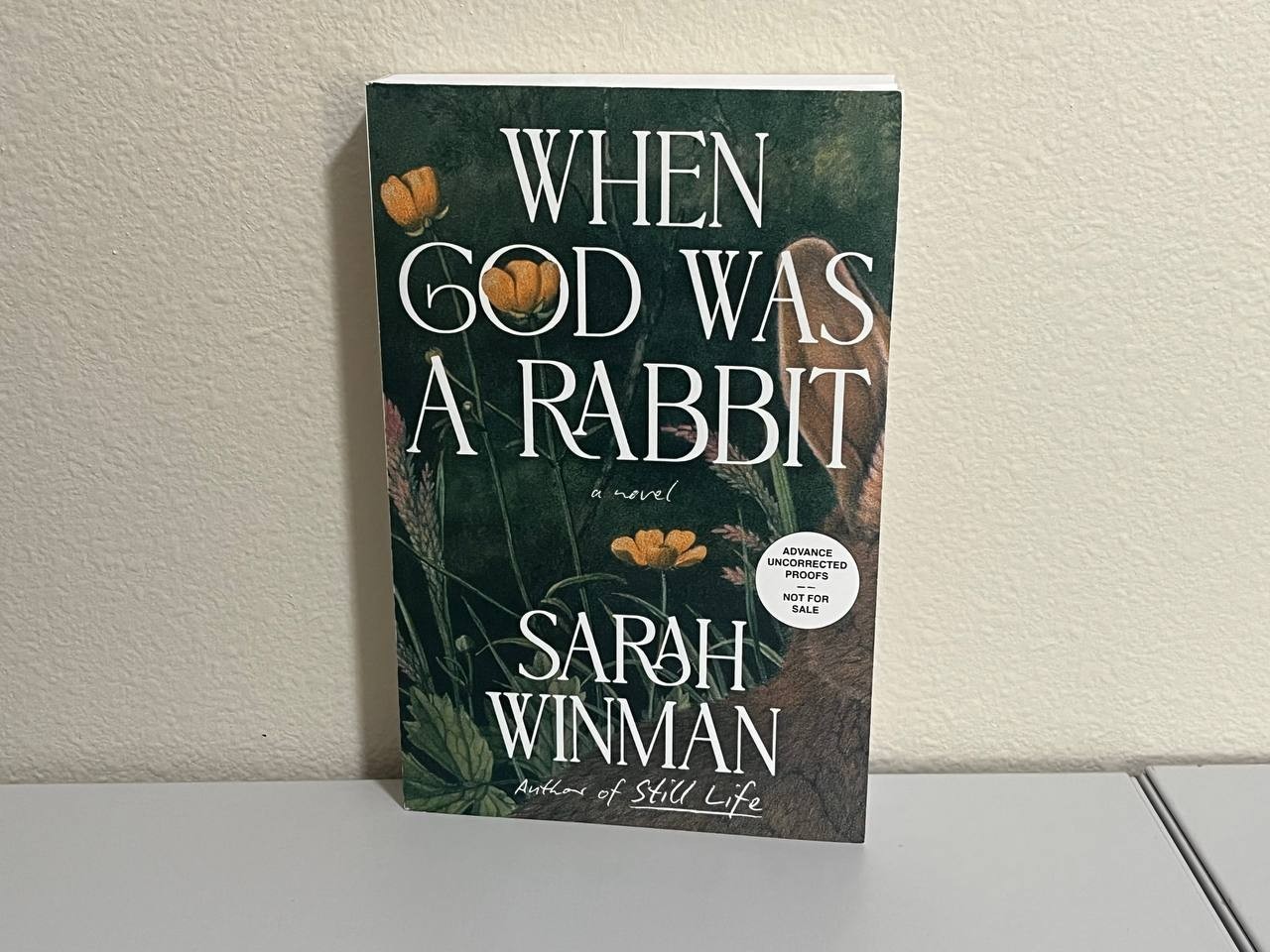 When God Was a Rabbit by Sarah Winman – 2026 Advanced Reader’s Copy