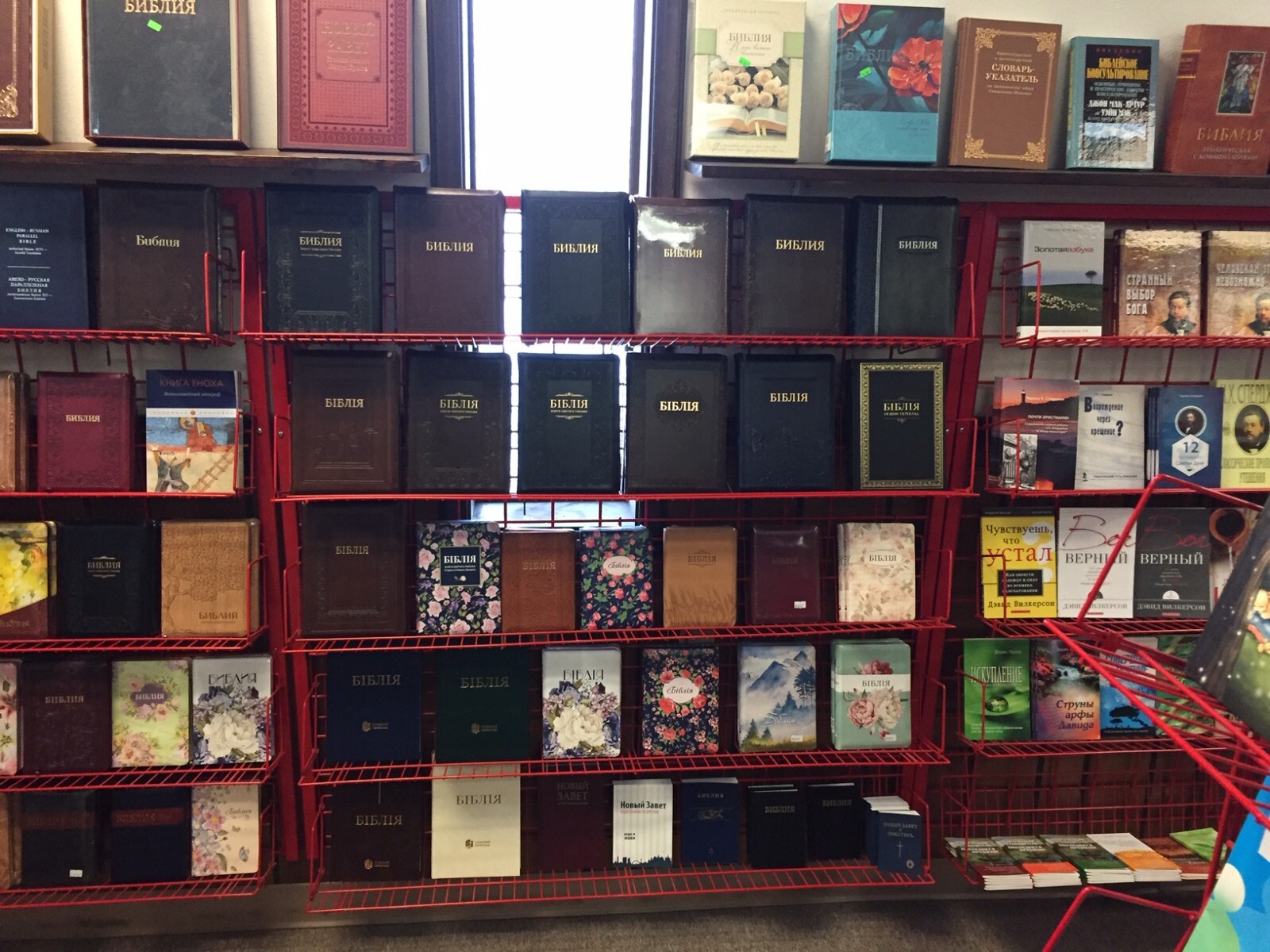 Russian Bible Medium Size Библия средний формат