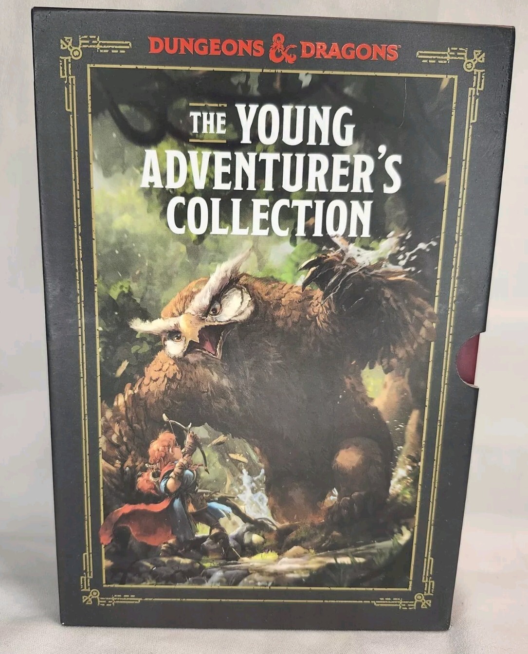 The Young Adventurer’s Collection Box Set – Dungeons & Dragons – 4 Books