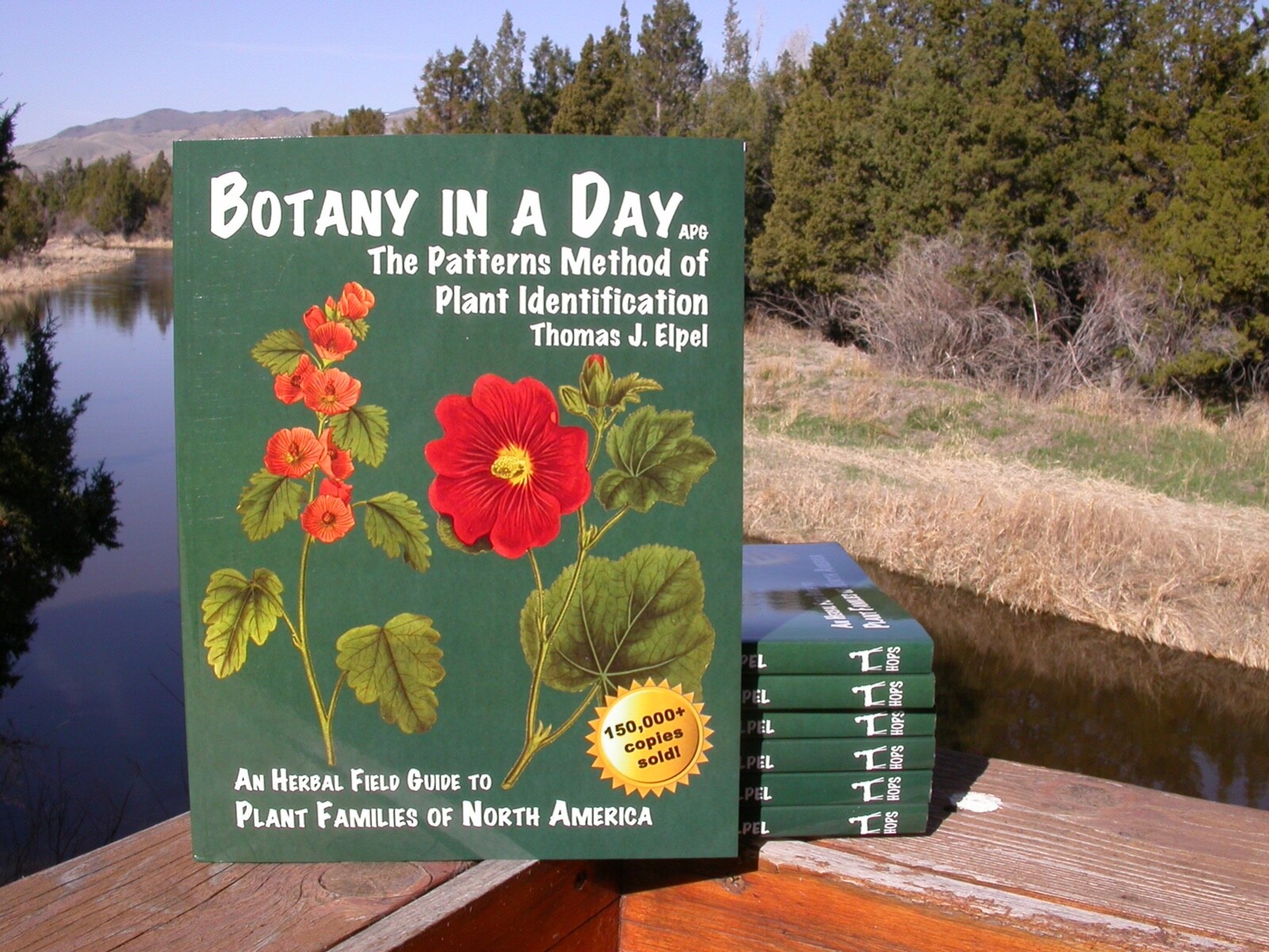 Botany in a Day: The Patterns Method of Plant Identification, 6.2, Publisher