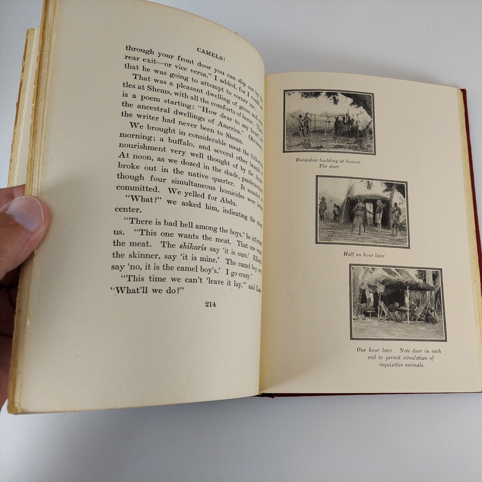 CAMELS! Daniel W. Streeter 1927 4th Impression Illustrated HC G.P. Putnam’s Sons