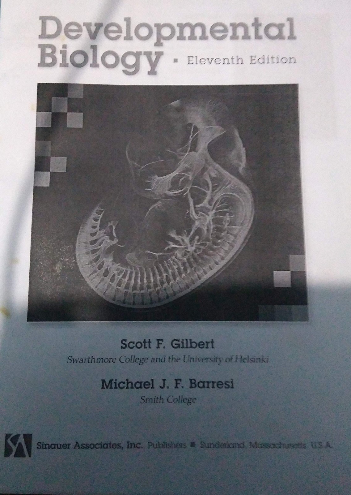 Developmental Biology Gilbert, Scott F.|Barresi, Michael J. F. hardcover Ver…