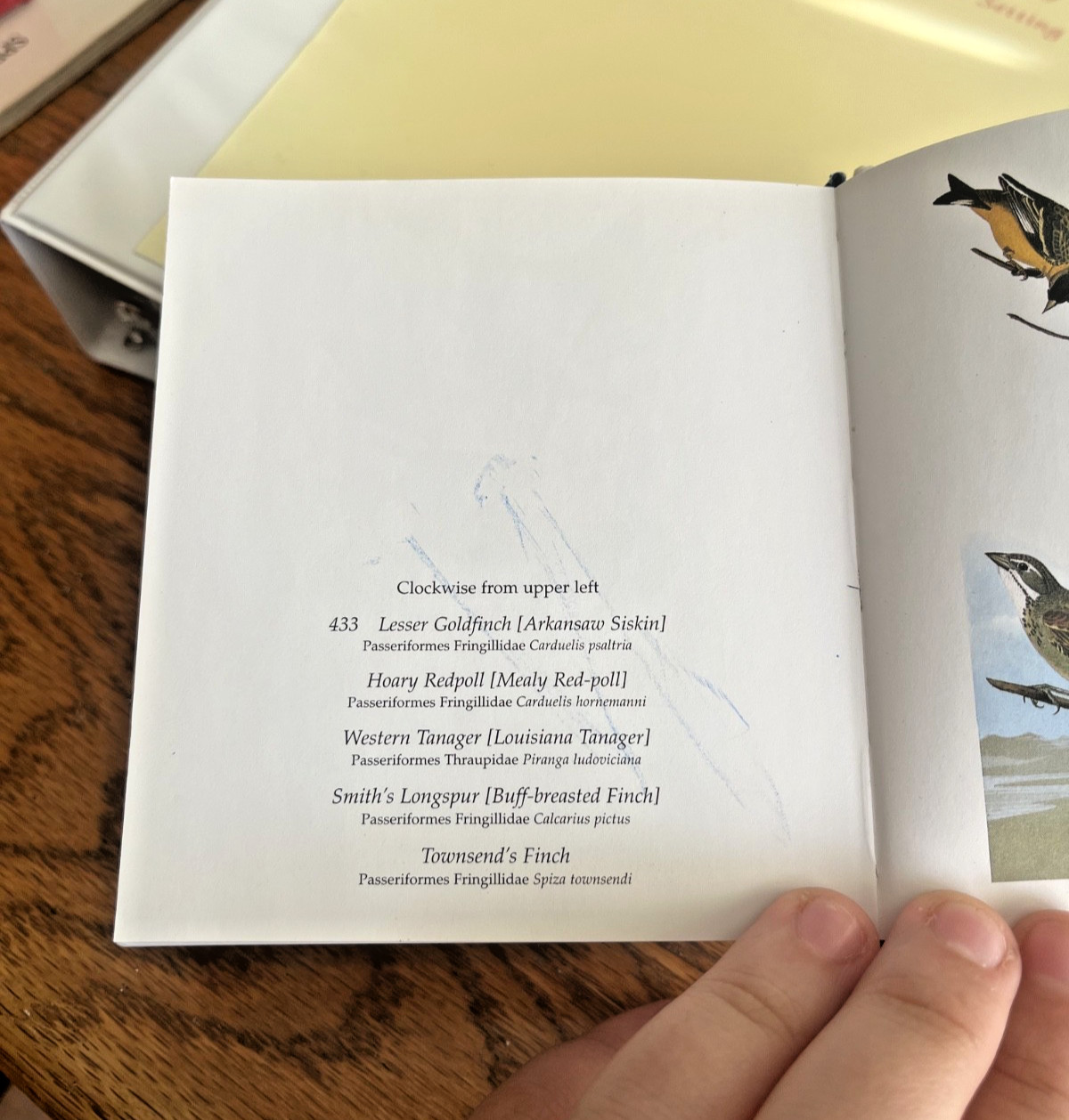 Audubon’s Birds of America by Roger & Virginia Peterson (2005 HB) Tiny Folio