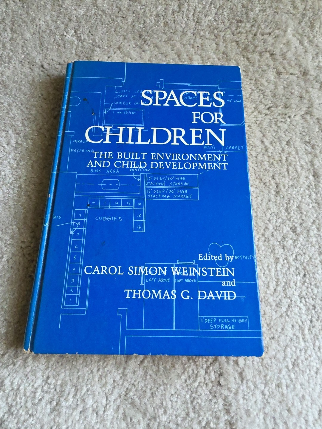 Spaces for Children: The Built Environment and Child Development
