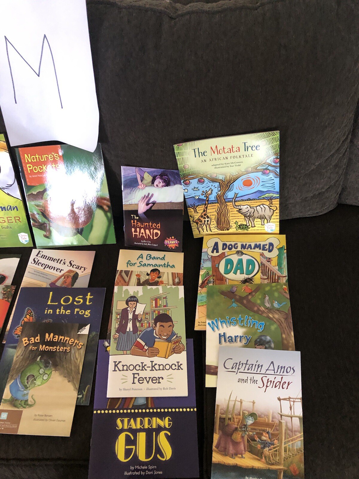 10 Books $15. Second Grade Reading Level TEACHER/SCHOOL LITERACY Free Ship