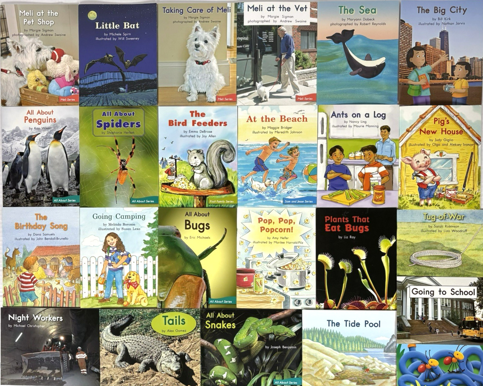 FOUNTAS & PINNELL LLI BLUE System Complete Set 120 Readers – 2nd Grade Level B-N