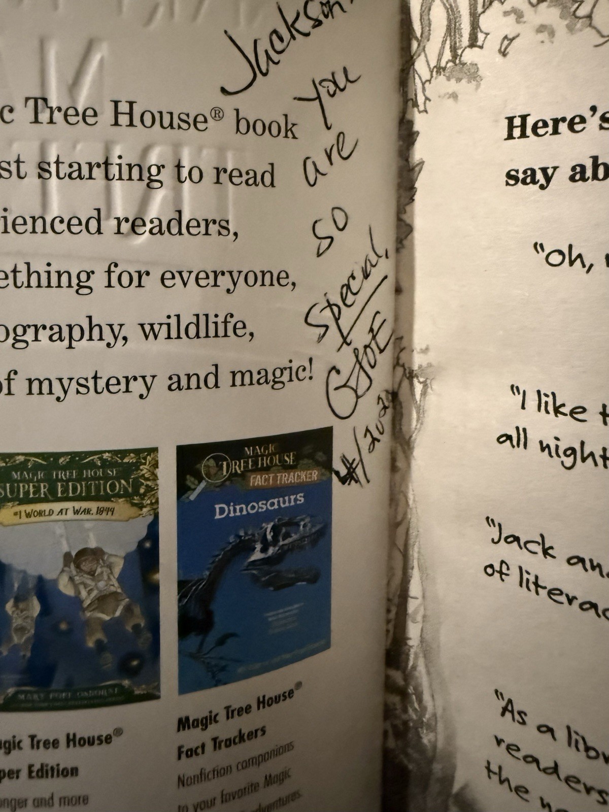 Magic Tree House 1–29 Missing 3 And 16