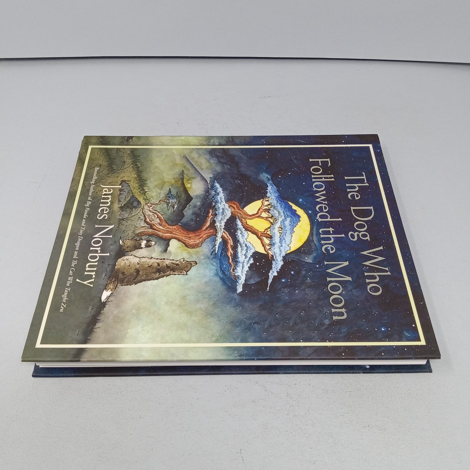 The Dog Who Followed the Moon: 2024 William Morrow Hardcover by James Norbury