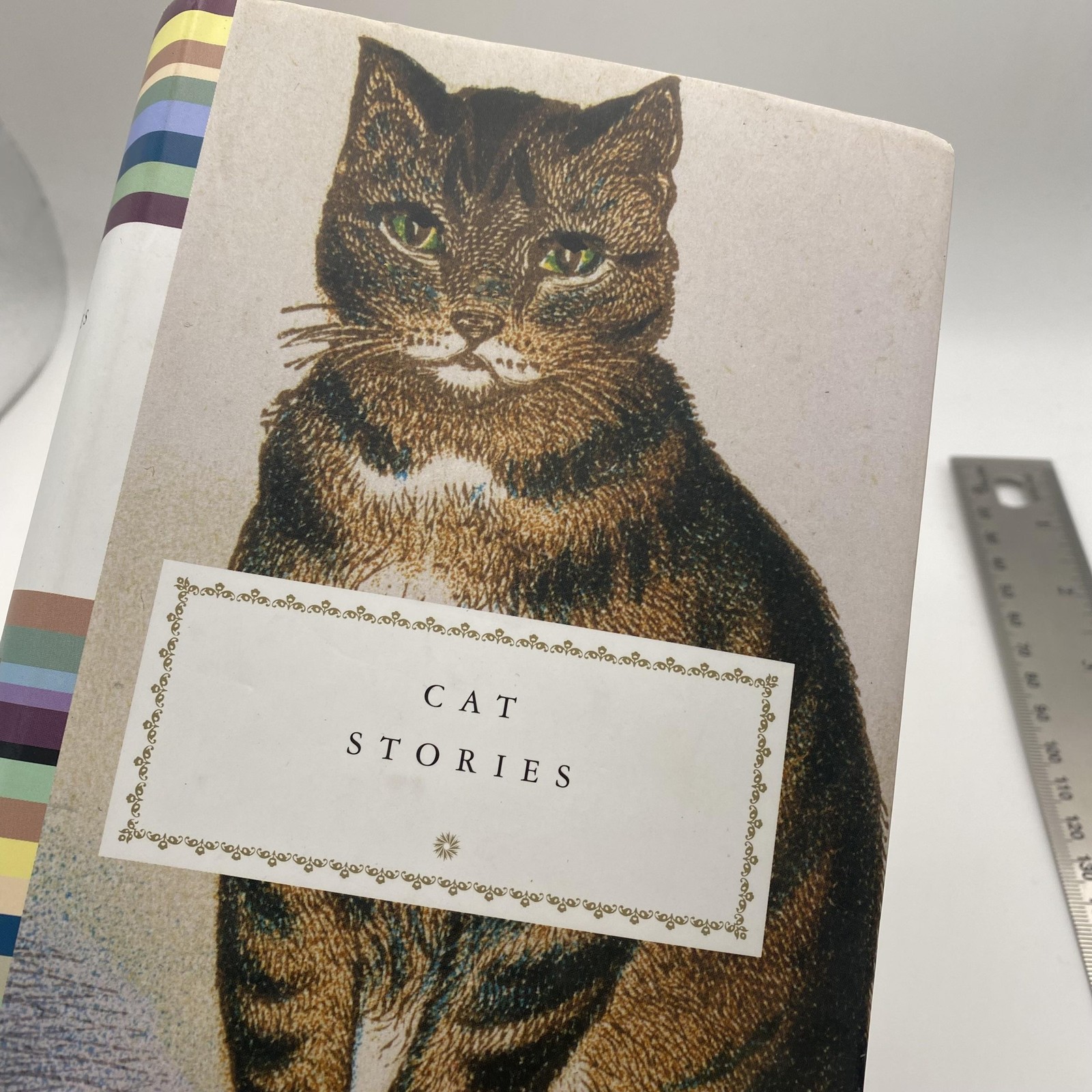 Cat Stories Diana Secker Tesdell Everyman’s Pocket Classics HC DJ Cat Fiction