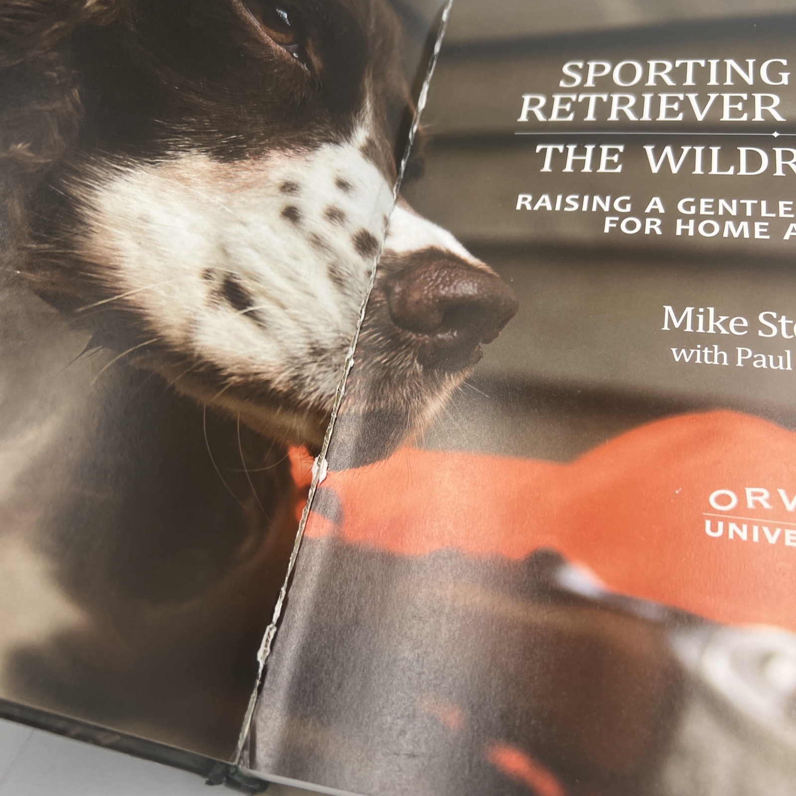 SPORTING DOG & RETRIEVER TRAINING ~ The Wildrose Way ~ HC ~ Mike Stewart