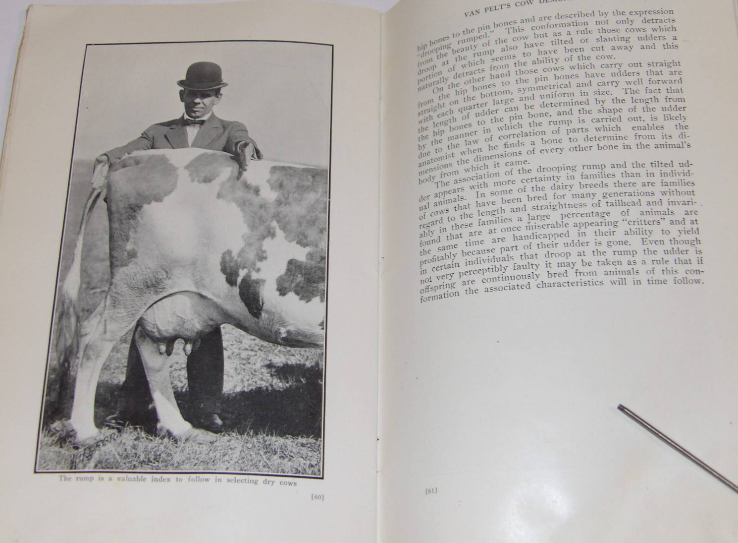 1911 VAN PELT’S COW DEMONSTRATION BOOK! 1st EDITION! ILLUSTRATED! 5 ESSENTIALS!