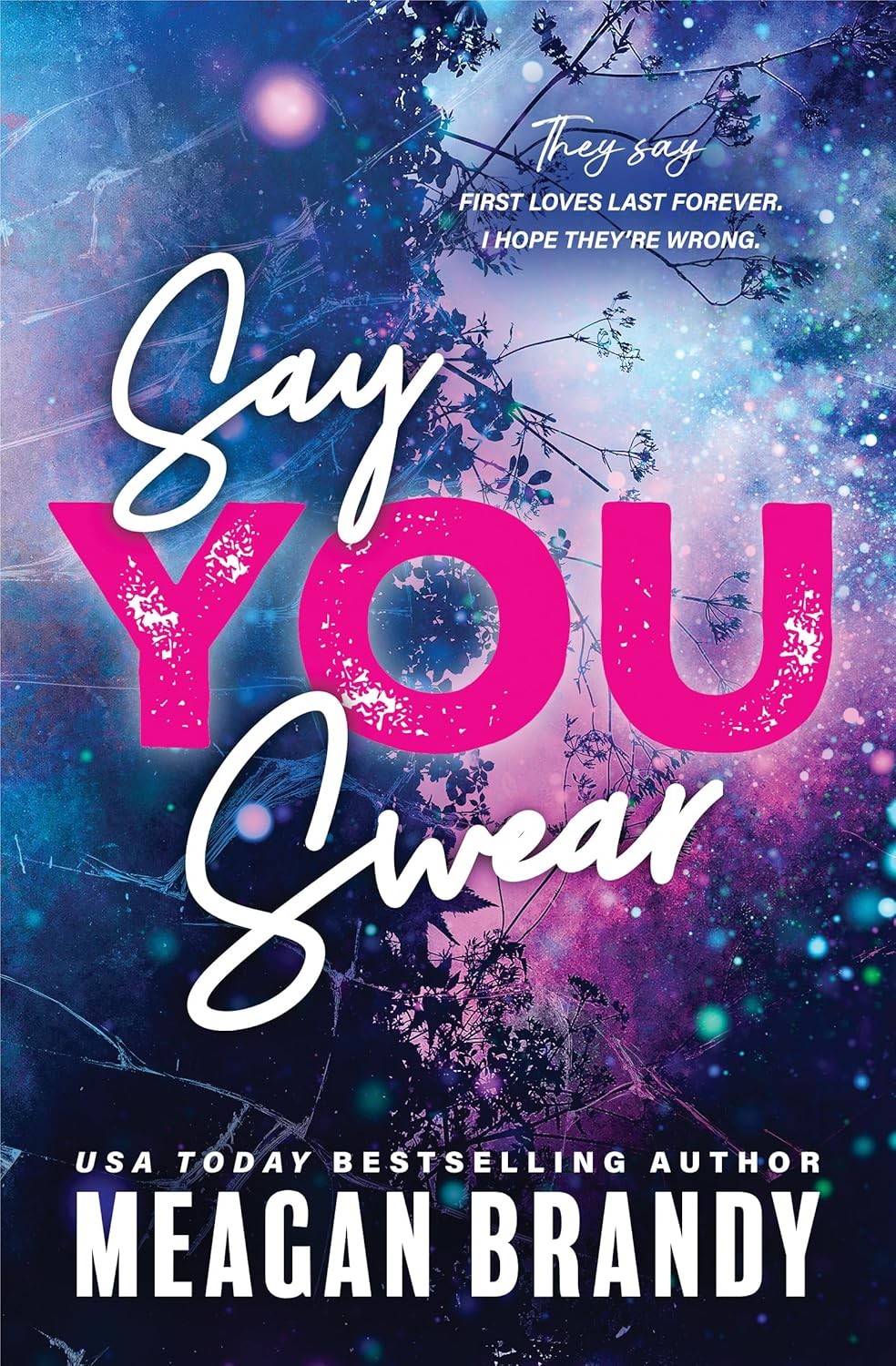 SAY YOU SWEAR (BOYS OF AVIX, 1) – Meagan Brandy, Paperback