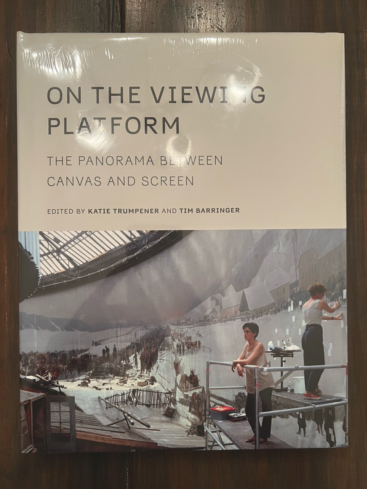 ON THE VIEWING PLATFORM: The Panorama Between Canvas and Screen 2020 Hardcover