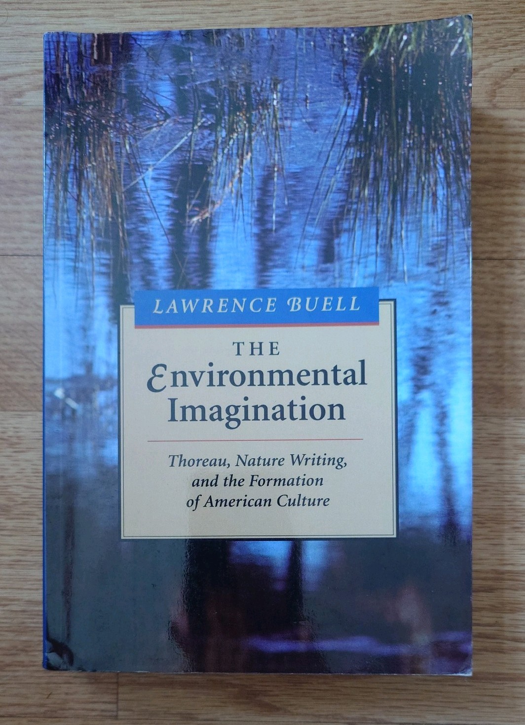 Environmental Imagination by Lawrence Buell