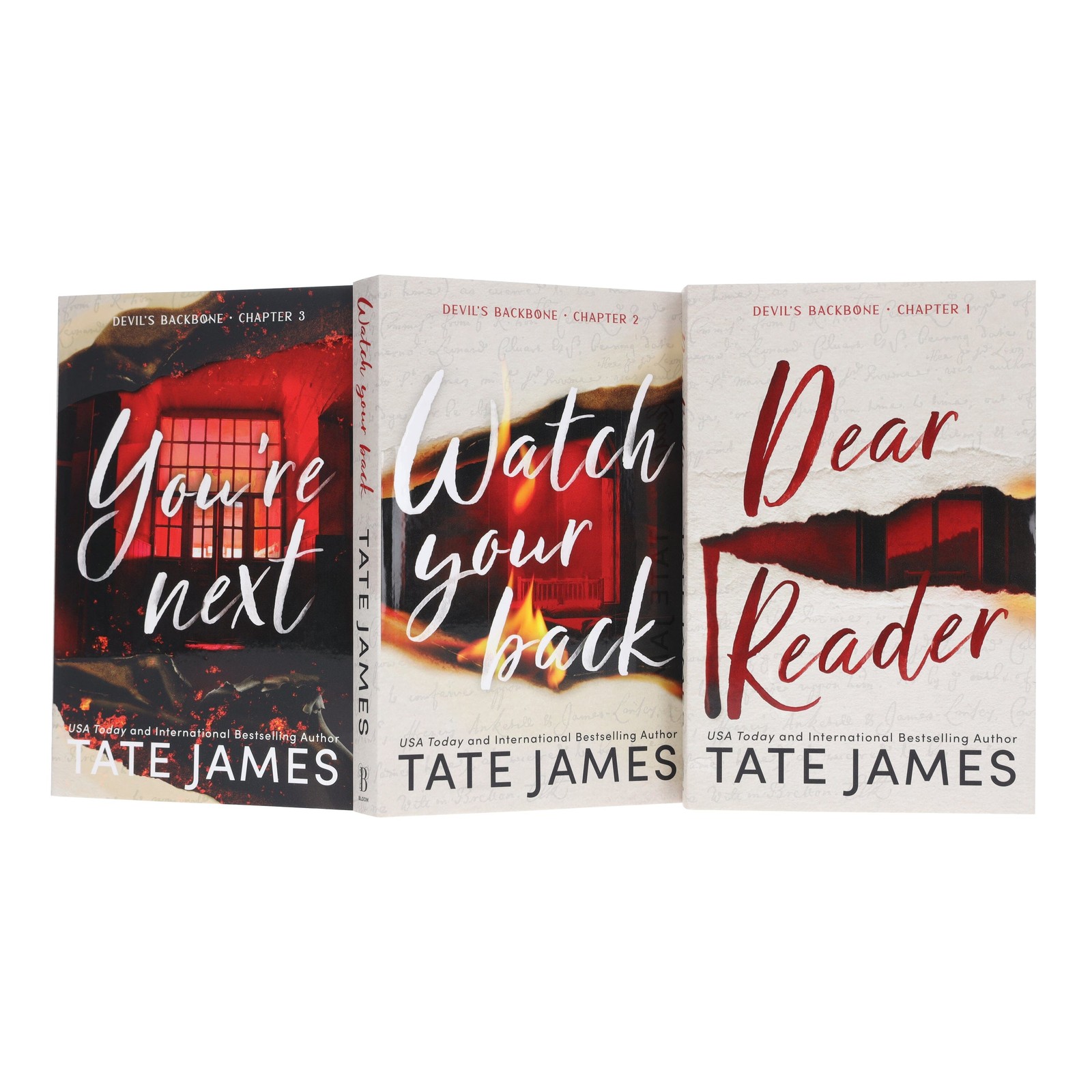 Devil’s Backbone Series by Tate James 3 Books Set – Fiction – Paperback