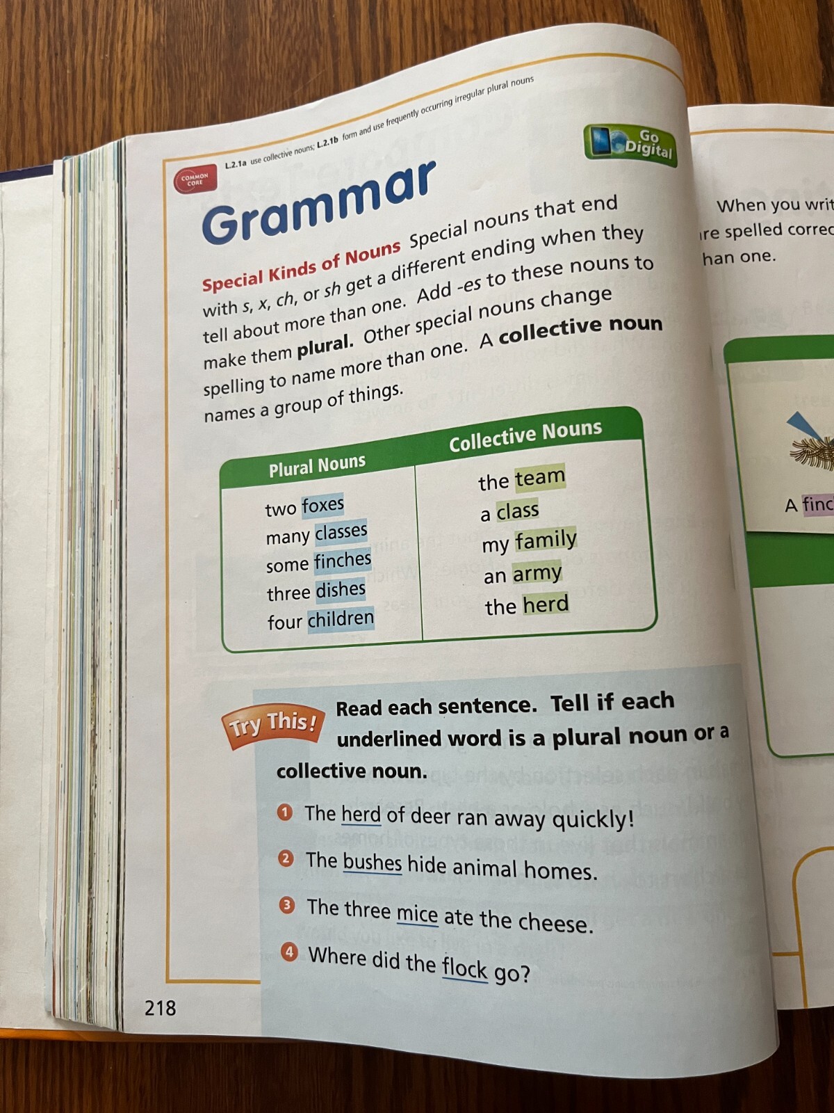 Brand NEW 2nd Grade 2 Reading Student Textbook 2.1 Journeys HMH Homeschool Book