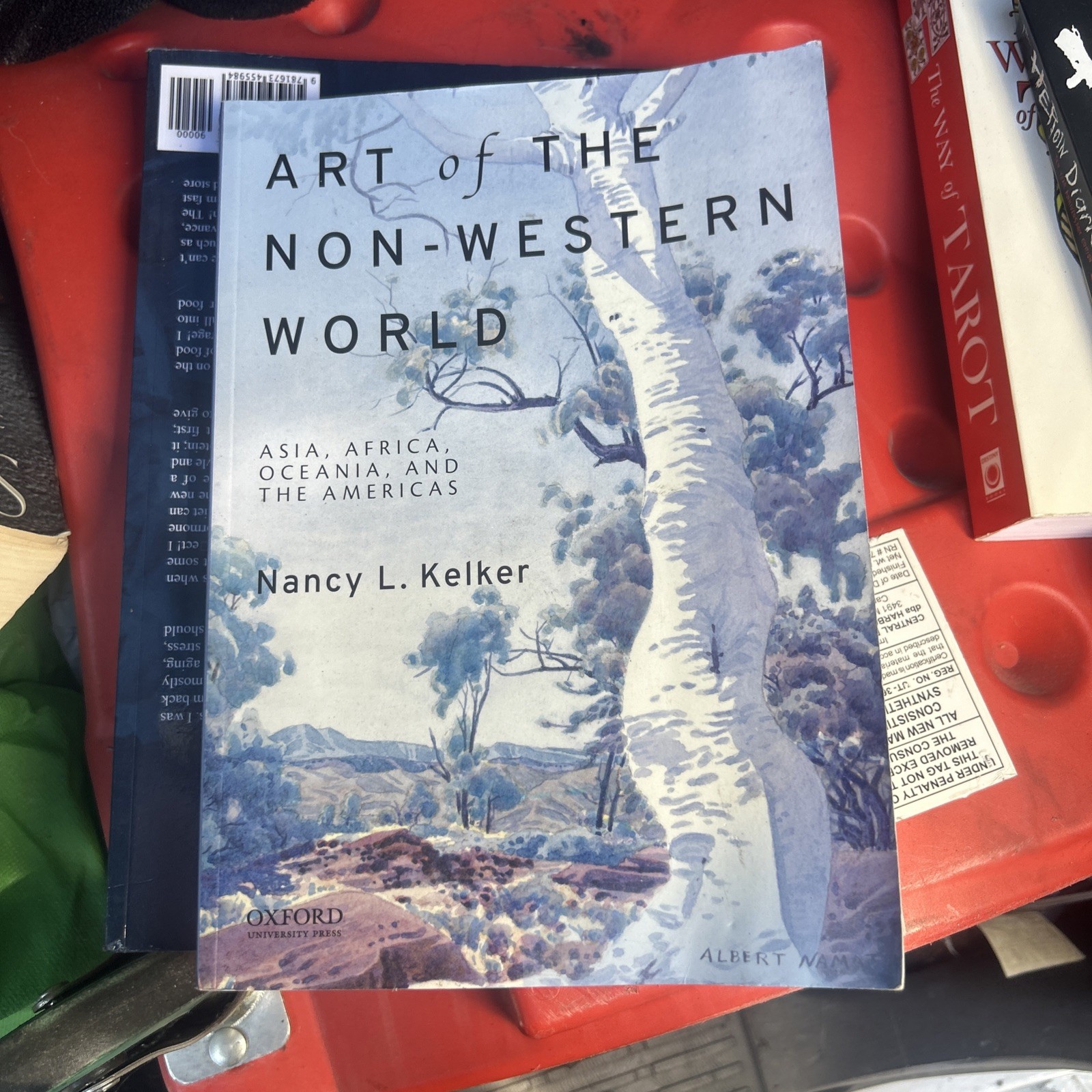 Art of the Non-Western World : Asia, Africa, Oceania, and the Americas by Nancy