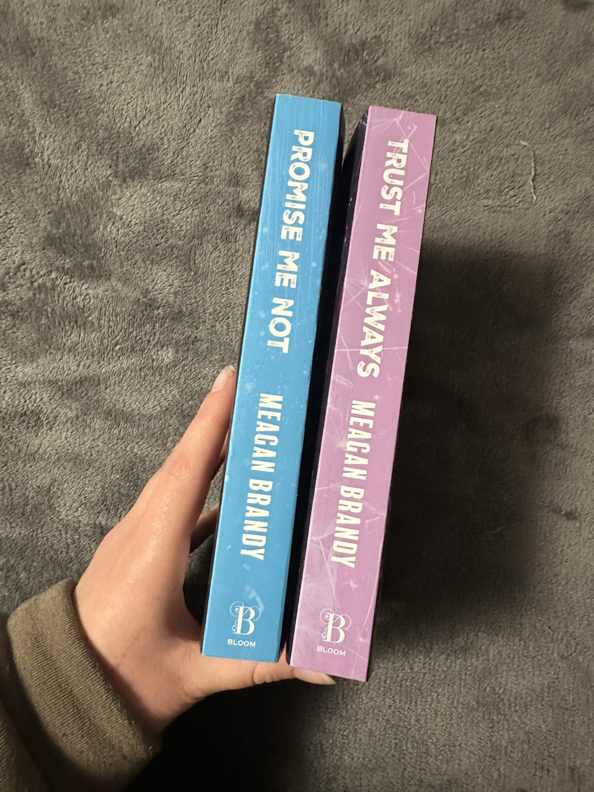 Promise Me Not by Meagan Brandy (2024, Trade Paperback)
