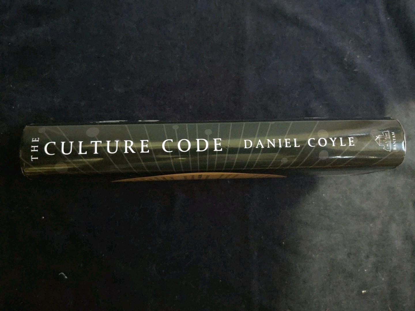 The Culture Code Secrets Of Highly Successful Groups Hardcover Book Daniel Coyle