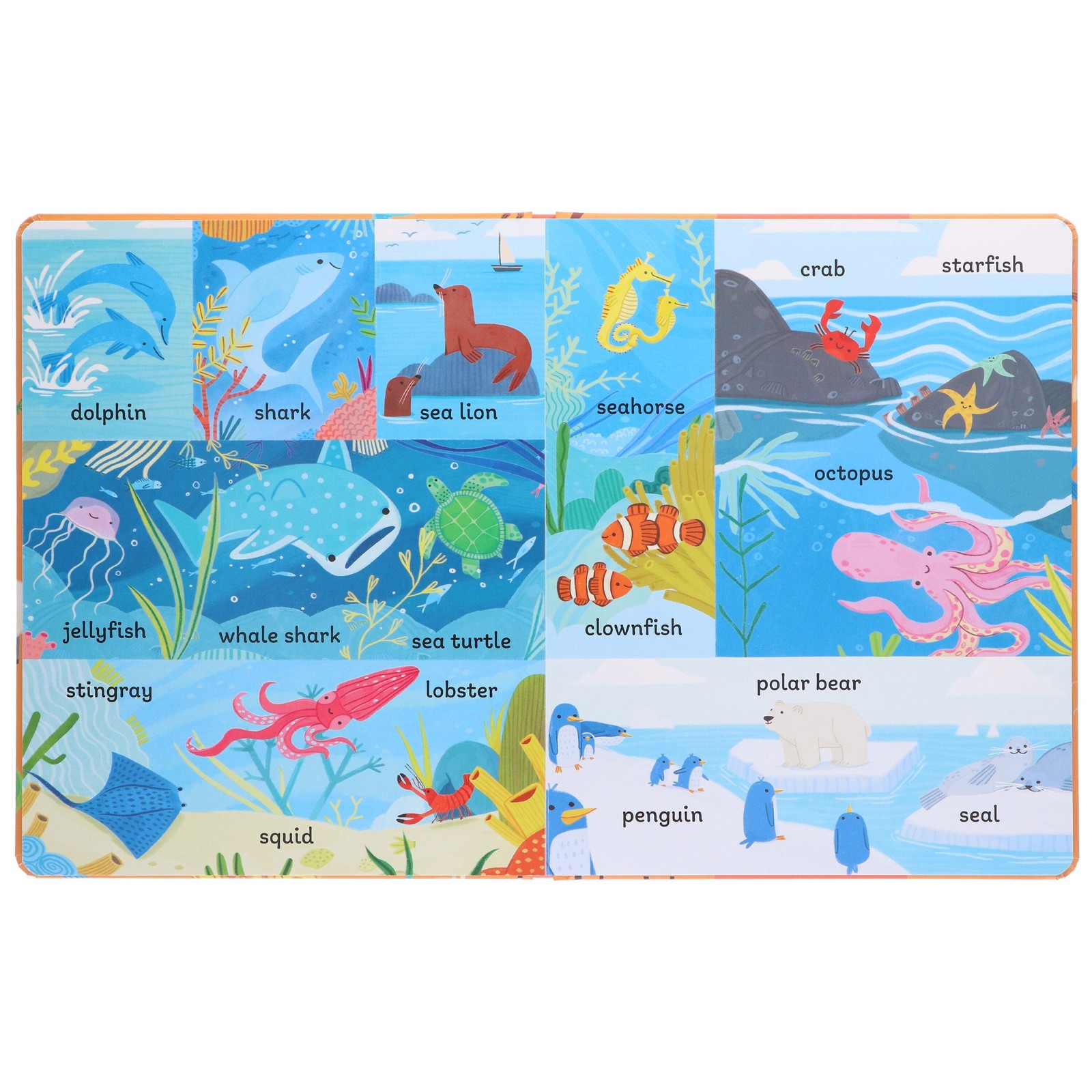 100 First Words Exploring Animals By Sweet Cherry Publishing – Ages 3-5-BB
