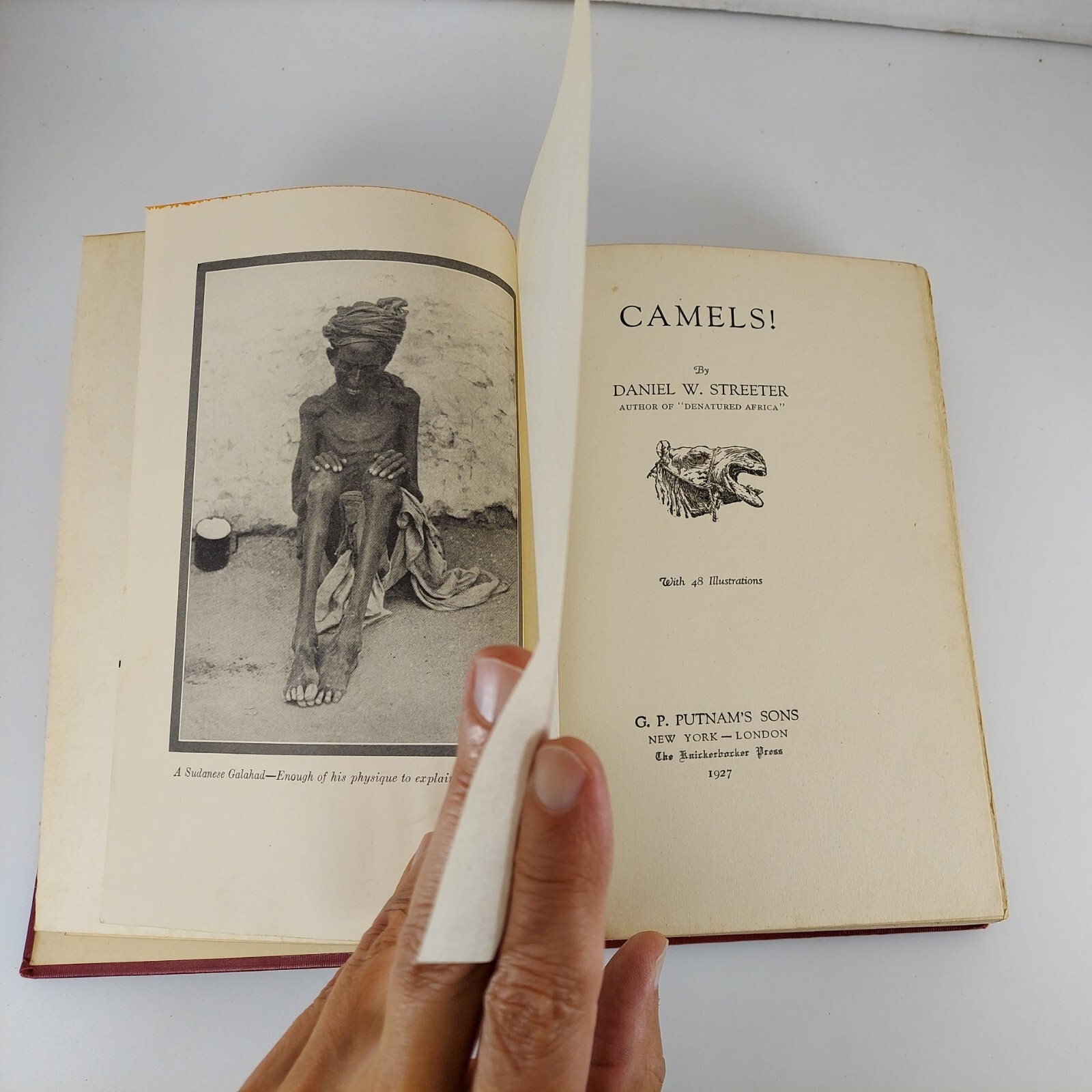 CAMELS! Daniel W. Streeter 1927 4th Impression Illustrated HC G.P. Putnam’s Sons