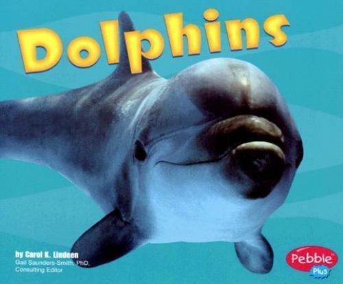 Dolphins; Pebble Plus: Under the Sea – paperback, 9780736851114, Carol K Lindeen
