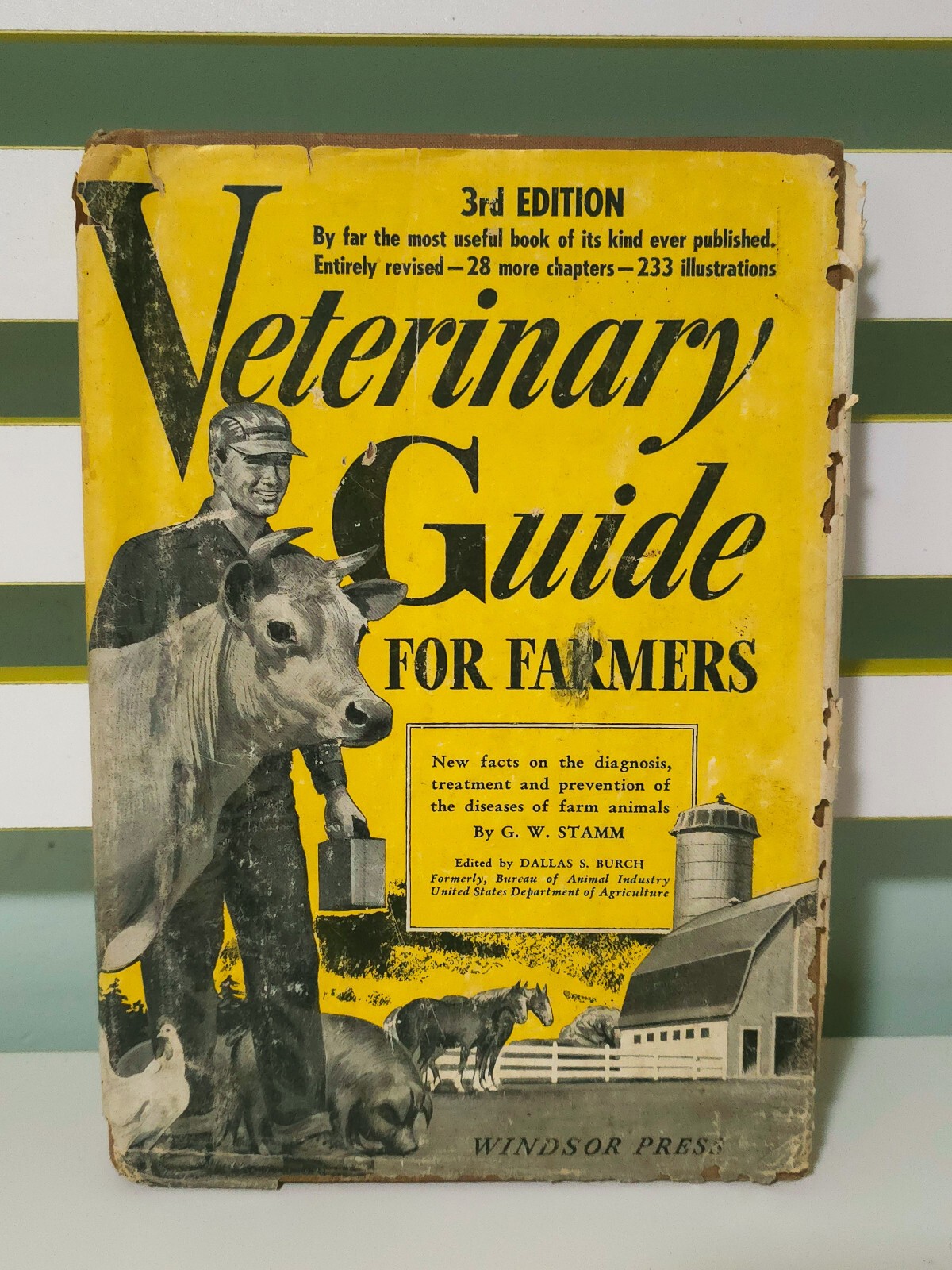 Veterinary Guide for Farmers: New Facts on the Diagnosis & Treatment of Animals!