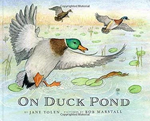 On Duck Pond Picture Book Jane Yolen