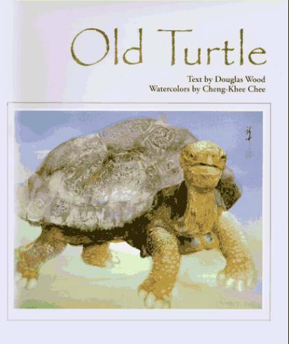 Old Turtle – Hardcover By Douglas Wood – GOOD