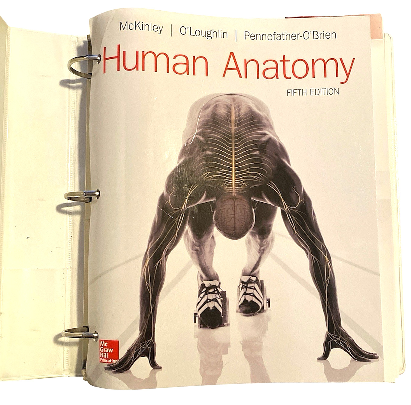 Human Anatomy 5th Edition Loose Leaf Binder McKinley O’Loughlin McGraw Hill Ed