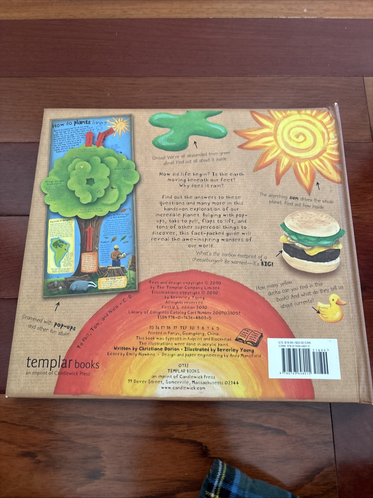 How the World Works : A Hands-On Guide to Our Amazing Planet by Christian Dorion