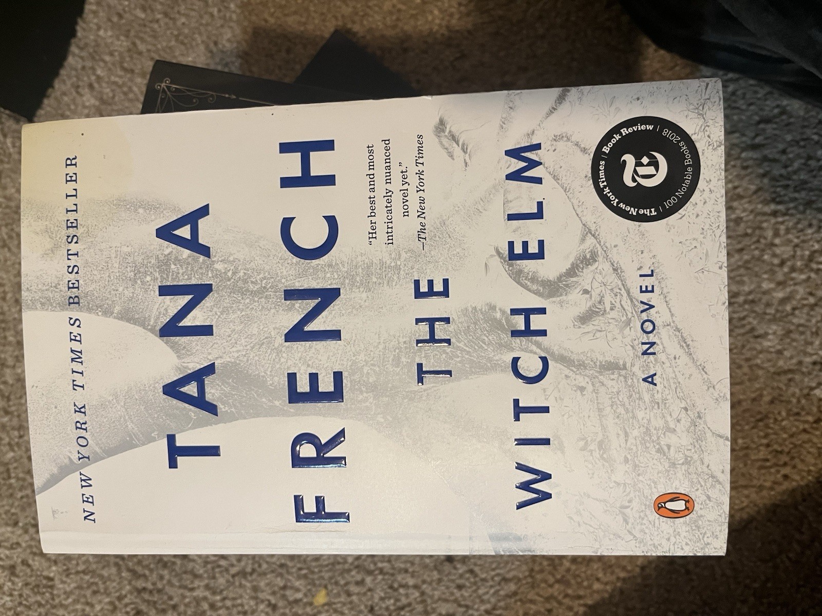Witch Elm : A Novel by Tana French (2019, Trade Paperback)
