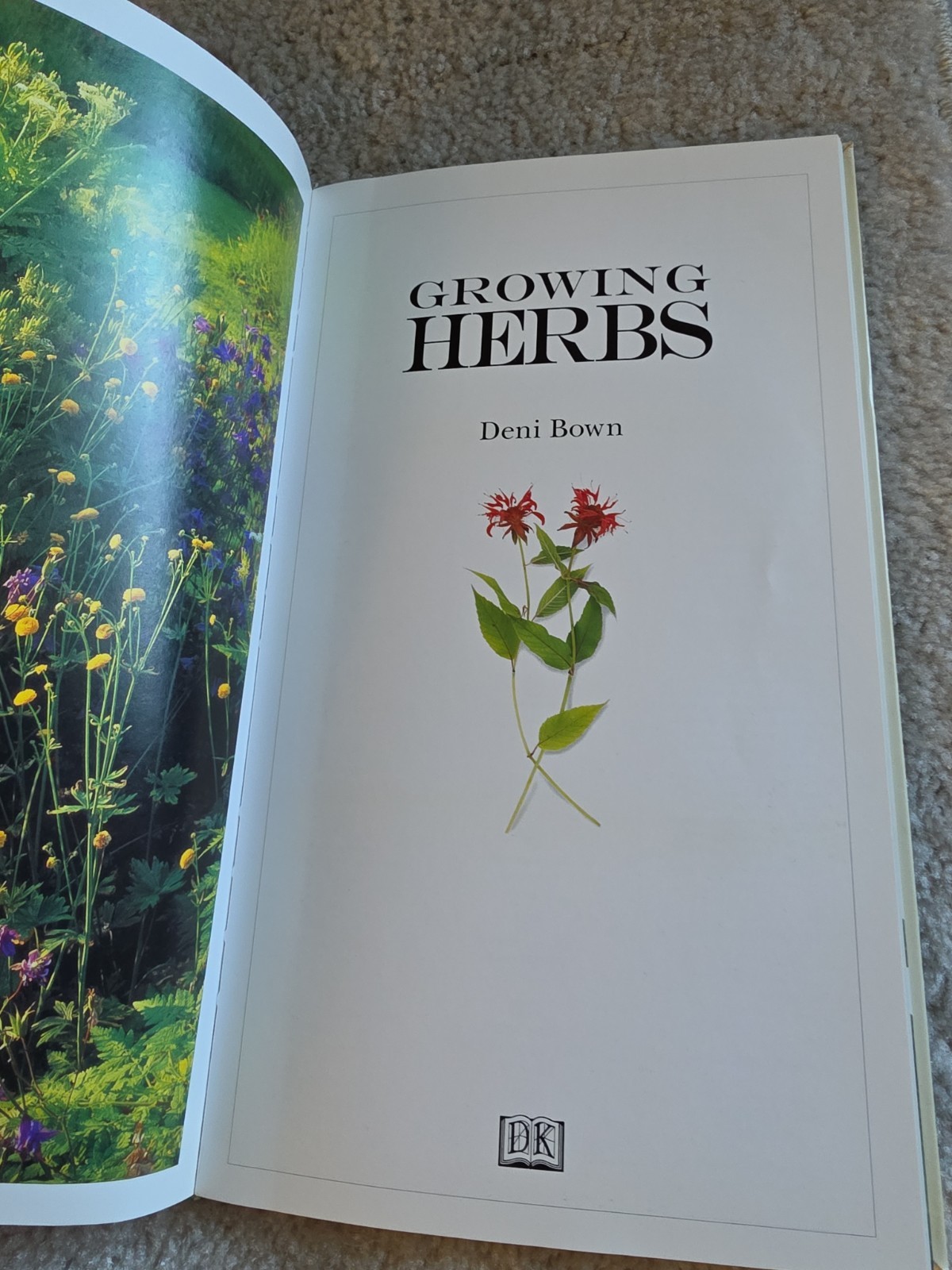 Growing Herbs by Deni Bown (1995 Paperback First Edition DK Guide with Chart)