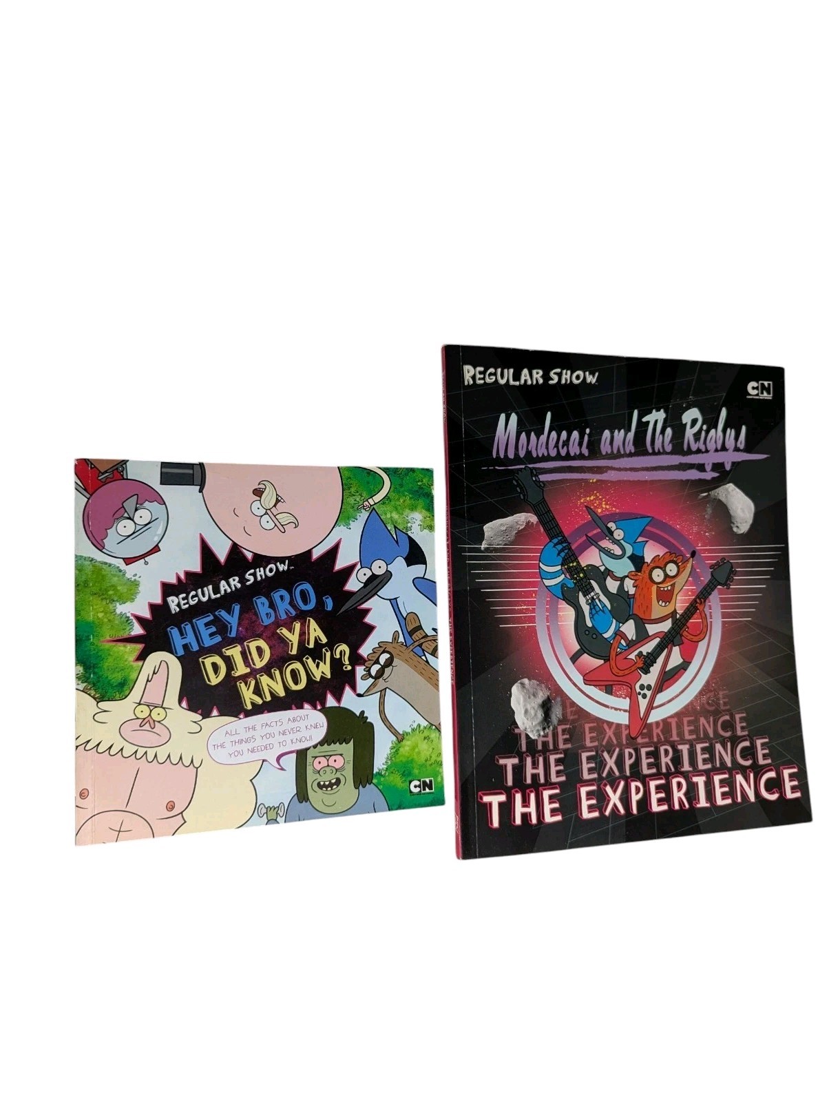 Regular Show 2 Book Lot Hey Bro, Did Ya Know? & Mordecai And The Rigby’s