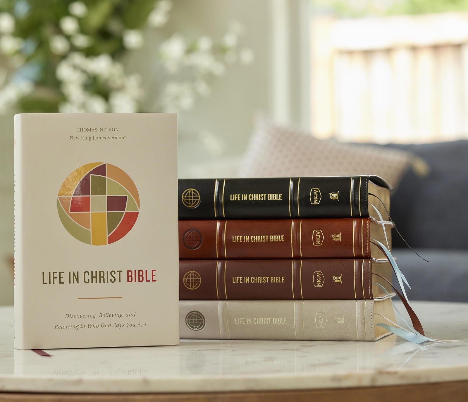 Life in Christ Bible: Discovering, Believing, and Rejoicing in Who God Says…
