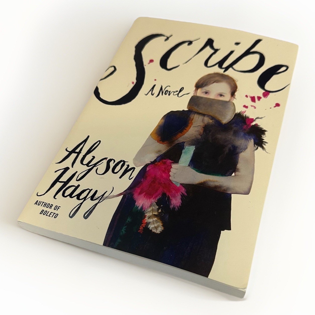 NEW Scribe : A Novel by Alyson Hagy (2018, Trade Paperback) Book
