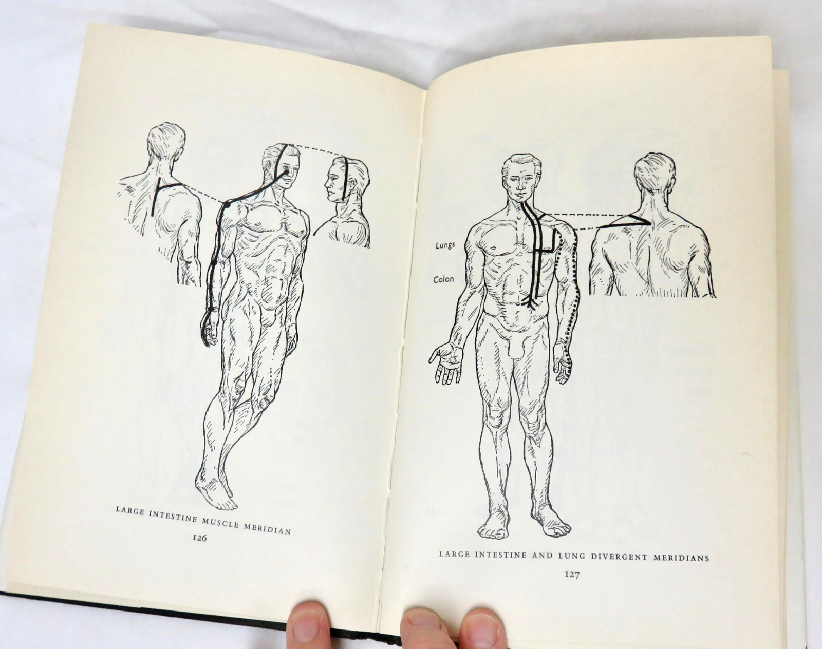 The Meridians of Acupuncture – Felix Mann – 1974 Hardcover, 174 pages