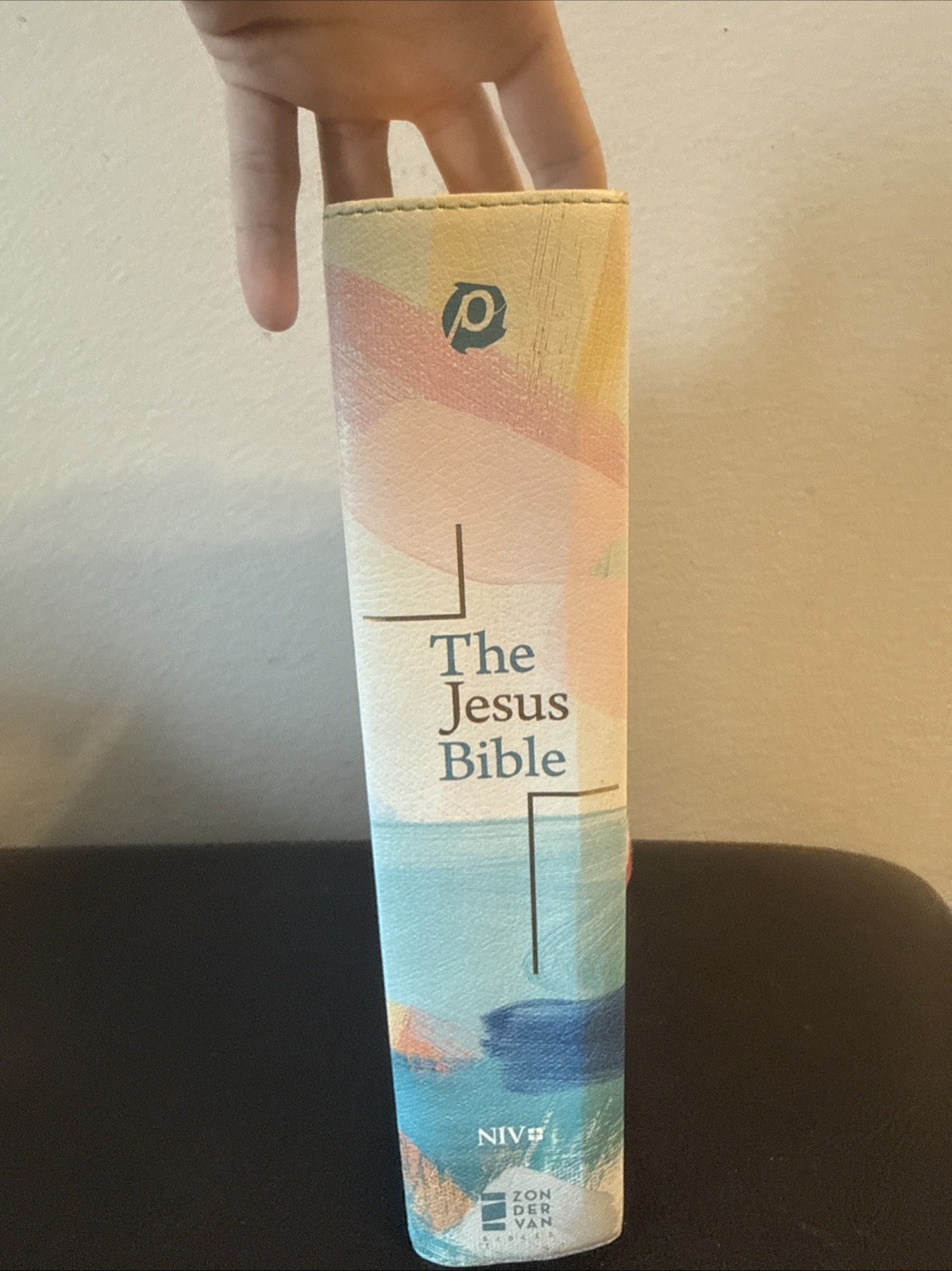 Jesus Bible NIV Edition [Multi-Colour/Teal] by Zondervan (2019, Imitation…