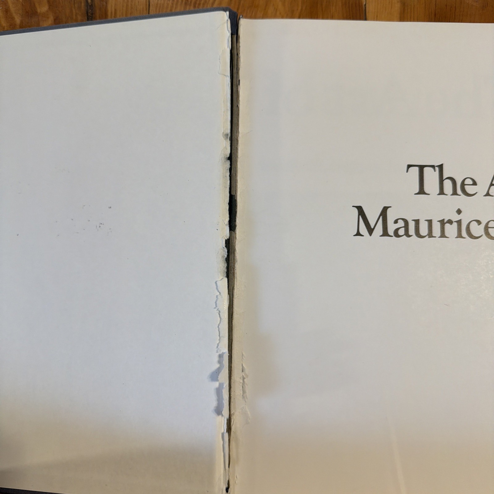 The Art of MAURICE SENDAK by Selma G Lanes 1980 Hardcover First Edition