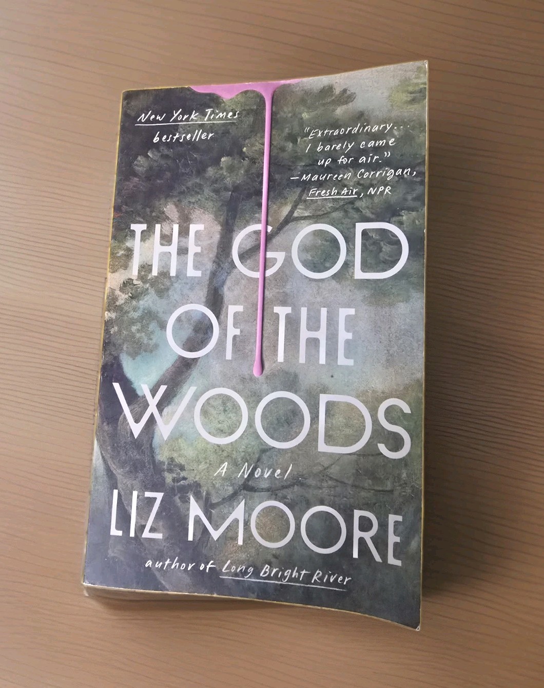 The God of the Woods A Novel By Liz Moore, 2025 Trade Paperback, Very Good
