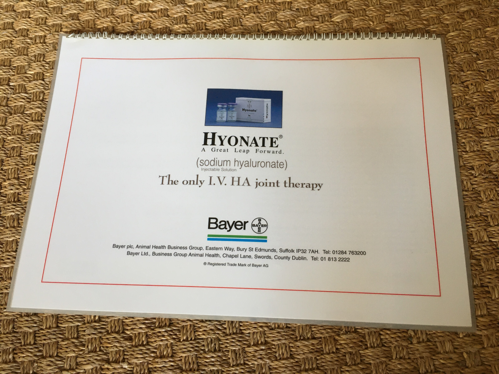 Equine Joint Disease laminated illustrations Bayer Hyonate booklet 43 x 30.5 cm