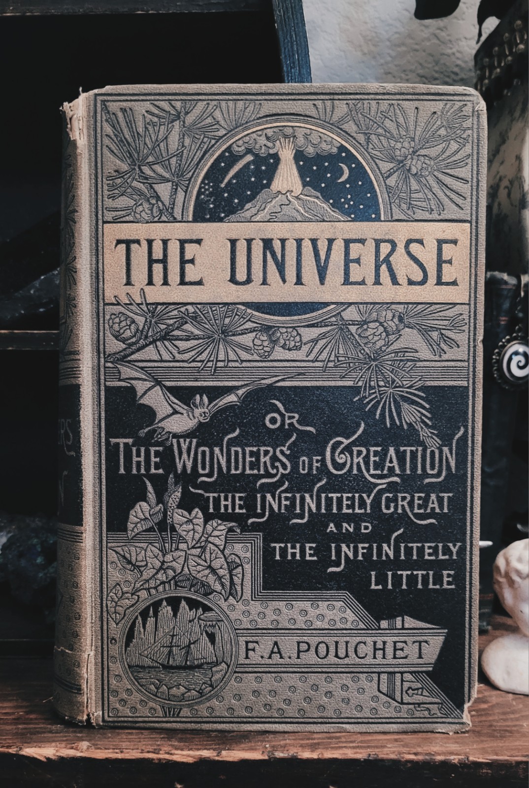 1883 The Universe F. A. Pouchet – Rare Edition Antique Nature Book Plants Animal