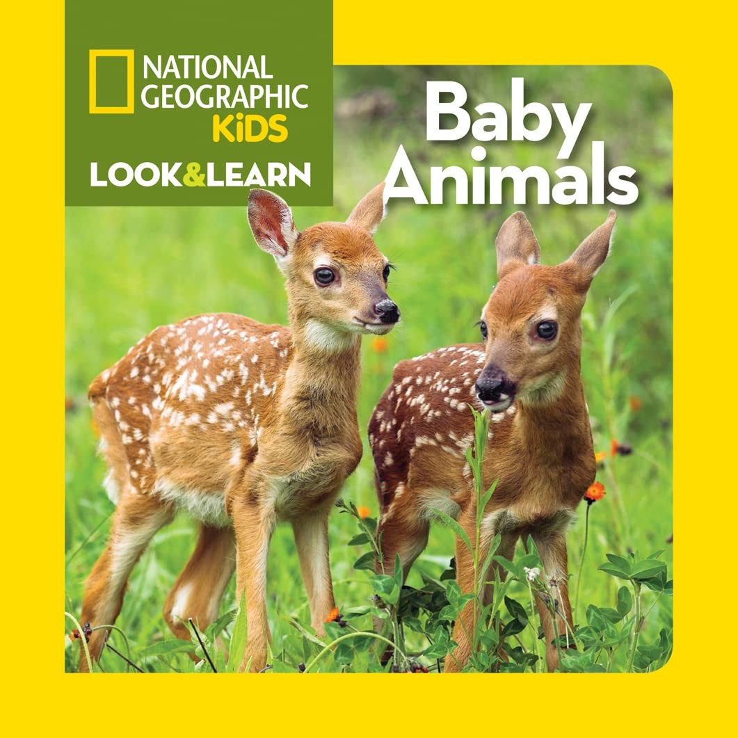 ABIS Multicolor Board Book Baby Animals and Moms National Geographic Inspired