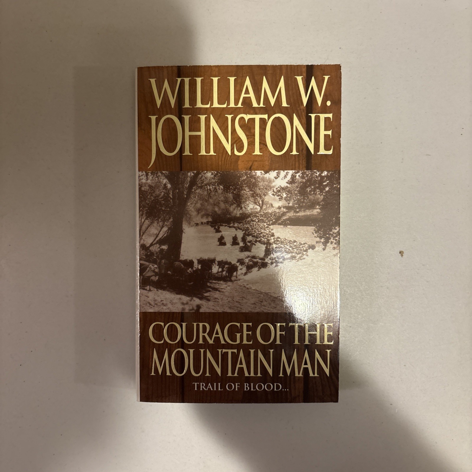 Lot of 8 William W. Johnstone Western Paperbacks – Ex‑Library – Action Series