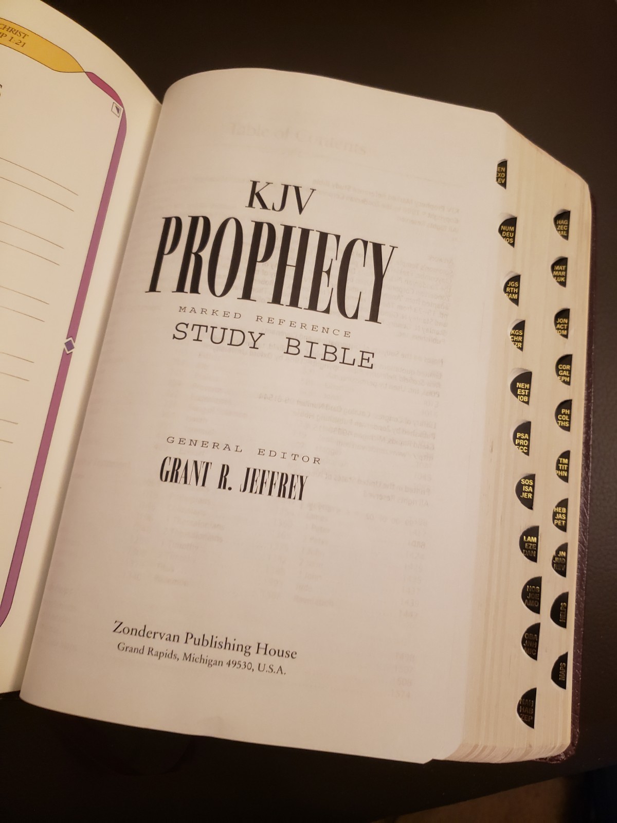 KJV Prophecy Marked Reference Study Bible Grant R. Jeffrey Brown Leather 1998