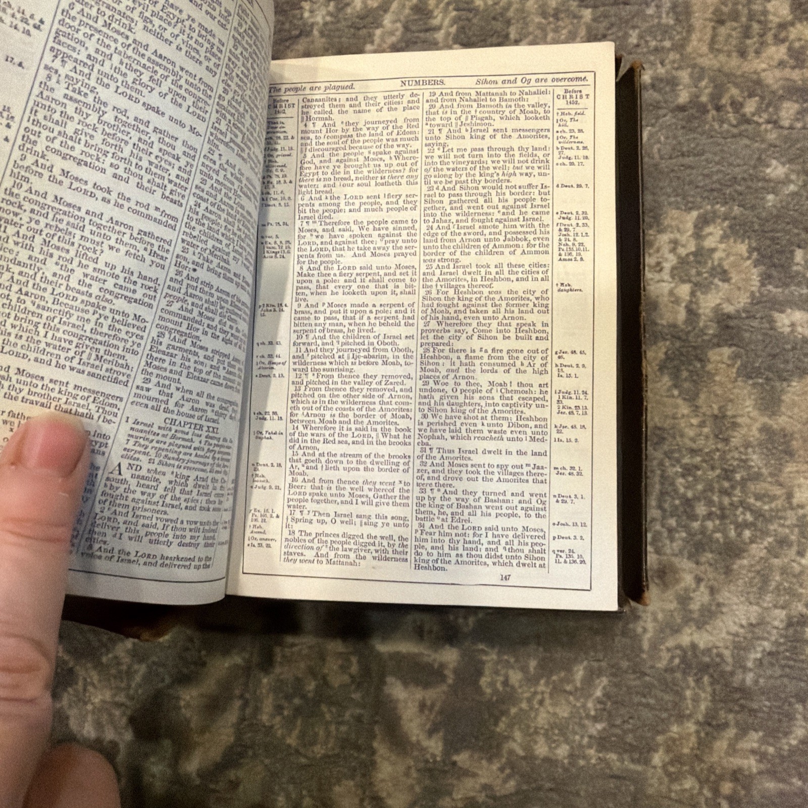 The Holy Bible 1881 New York American Bible Society Original Tongues.