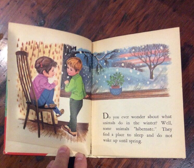 1971~ RAND MCNALLY~ START RIGHT ELF BOOK~ ORIG. .25 ANIMAL MYSTERIES #8172
