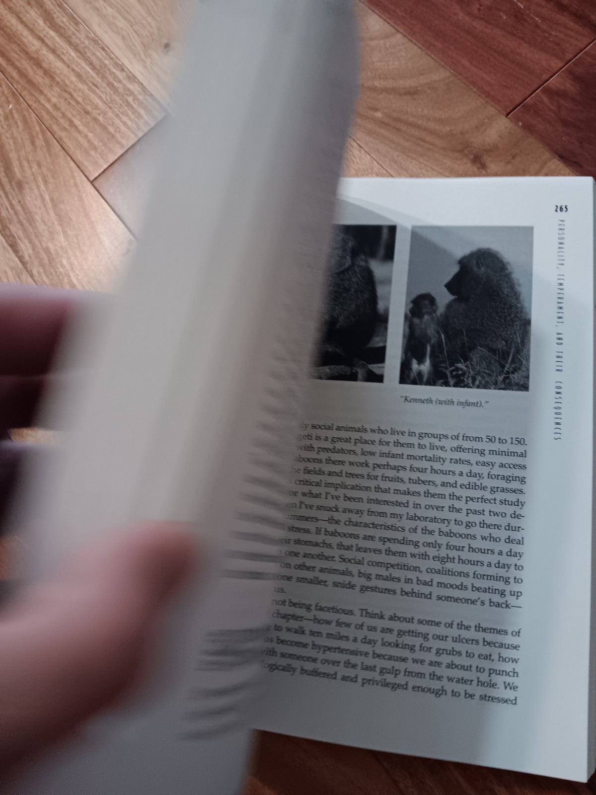 Why Zebras Don’t Get Ulcers: An Up, Robert M Sapolsky