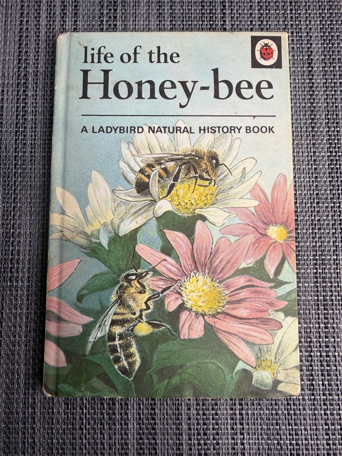 Life of the Honey Bee – Ladybird Books Series 651